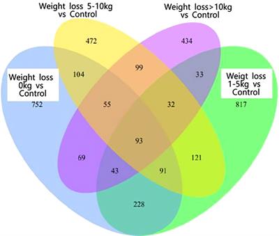 Effect of weight loss on pregnancy outcomes, neuronal-reproductive-metabolic hormones and gene expression profiles in granulosa cells in obese infertile PCOS patients undergoing IVF-ET